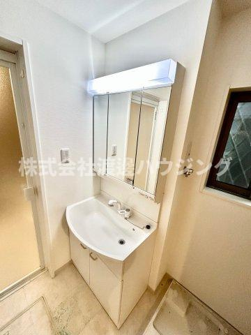 Reメゾン桃谷の洗面所