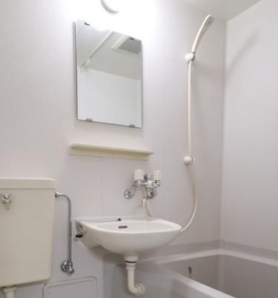 メゾン・ド・ボナールの洗面所