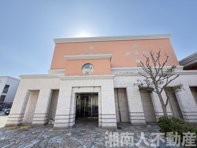 アデニウム葉山一色