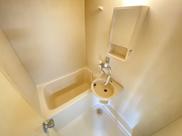 デュエットマルチョウの浴室