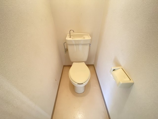 デュエットマルチョウのトイレ