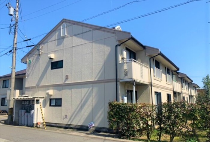 グリーンセトル　D