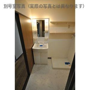 アパートメントハウス朴の樹の洗面所