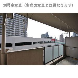 アパートメントハウス朴の樹の展望