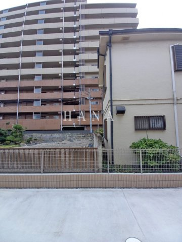 【展望】 | Olive Terrace