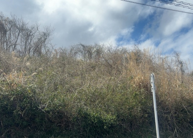 【展望】 | 眺望を気にして物件を探す場合、前面に建物が建っていないか現地で確認しましょう！前面に建物があると景色はもちろん、日当たりや風通しにも影響が出てきます。住んだ時のことを想像しながら現地見学をしましょう。