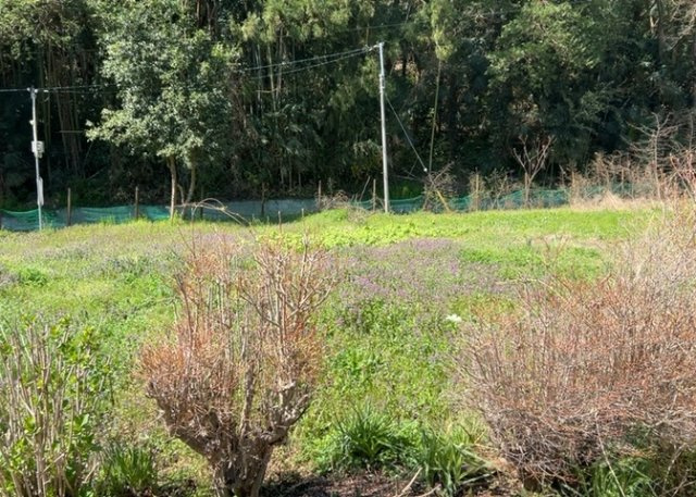 【外観】 | 土地の面積＝住宅面積ではありません。建ぺい率の問題などで、土地のある場所によって住宅を建てられる面積は限られています。高さもしかり、「土地」という言葉の中には、建築条件も含まれると考えておきましょう。