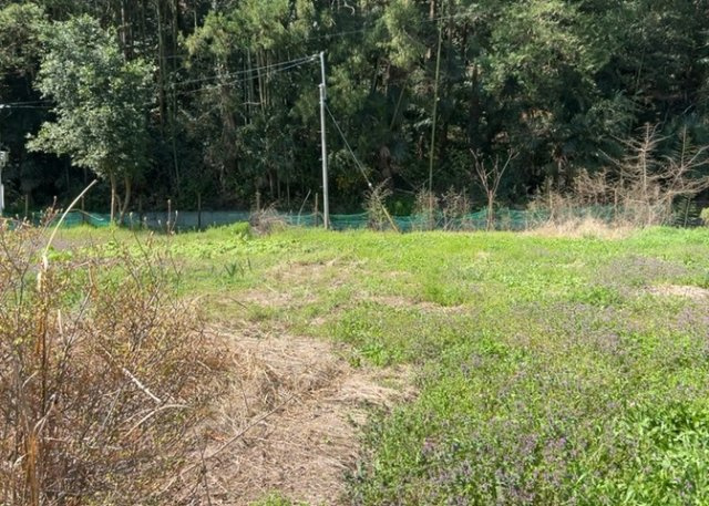 【外観】 | 土地を買う際、住む地域の自治体や福祉の補助制度にも注目してみましょう。子供や老人の医療補助やゴミ出しのルールなど、自治体によってルールに大きな違いがあるため、暮らしやすい土地で判断するとよいでしょう。