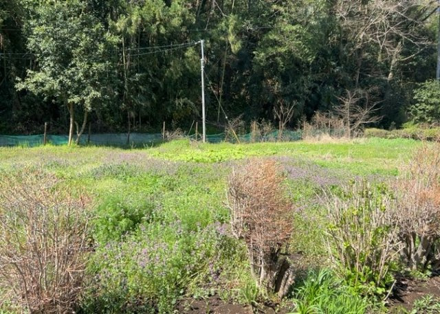 【外観】 | 隣家の土地はどうなっているのか、生活利便施設が近くにあるのか、学校まで近いかなど、お客様のライフスタイルにあわせたイメージが重要です。また、近くにあると困る施設が近くにないかも確認するといいでしょう。