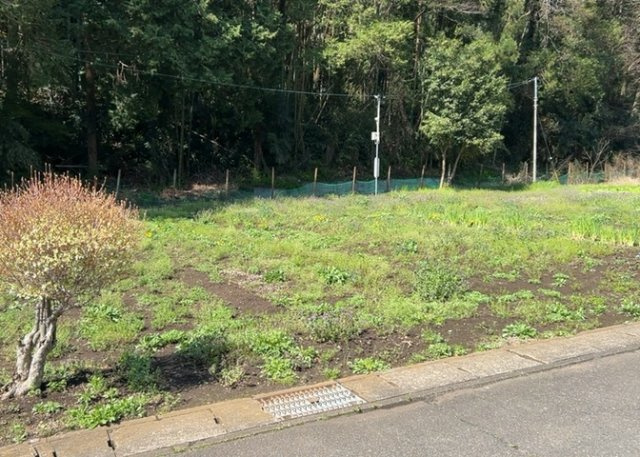 【外観】 | 現地に行くなら、物件の周囲の地形がどうなっているかを見ることも大切です。周辺より低くなっている土地では、大雨などで水が集まりやすいため、地盤が弱くなっているということも考えられるため、注意が必要です。