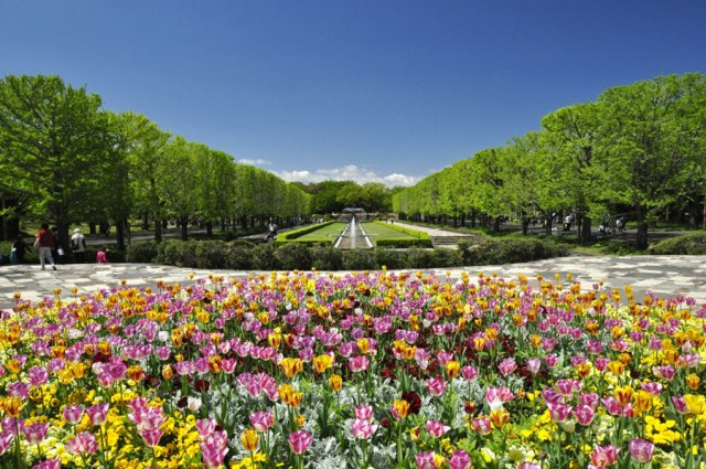 【周辺】 | 国営昭和記念公園（徒歩約15分）