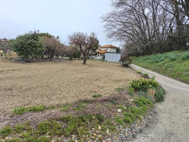 ６６７４３　岐阜市柳津町下佐波土地