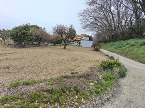 ６６７４３　岐阜市柳津町下佐波土地の画像