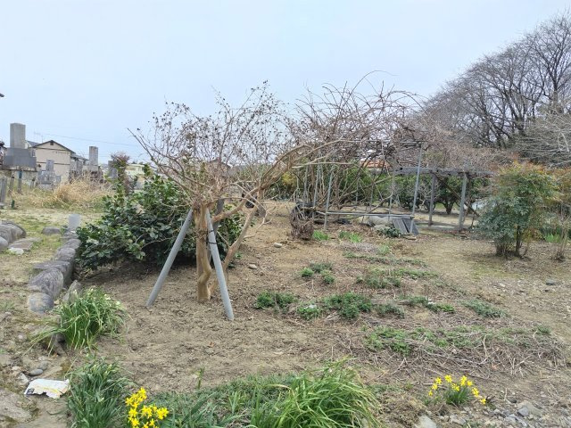 ６６７４３　岐阜市柳津町下佐波土地の外観