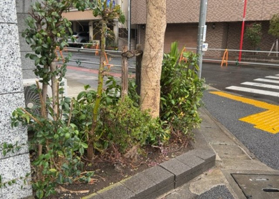 【庭】 | ローヤルシティ町田 | 物件によっては、入居者が個人的に使用できる専用庭がついているものもあります。また、住宅の中にある土間の部分を庭と呼ぶこともあります。庭の用途は住む人によって変わり、それによってデザインもさまざまです。