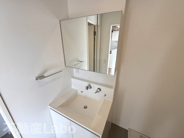 ピースアシュリーAの洗面所