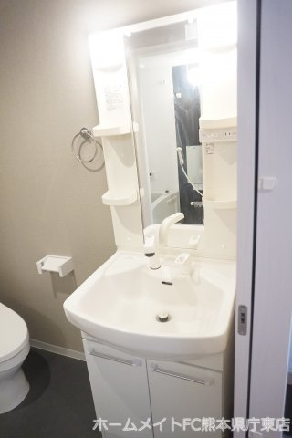 熊本市中央区迎町１丁目のアパートの独立洗面台