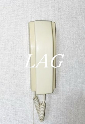 【セキュリティ】 | サンシャイン谷津 | インターフォンです。