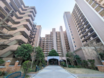 ヴィオスガーデン城山の画像