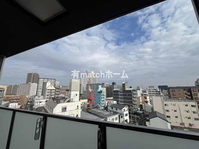 LEGALAND+猫 MIYAKOJIMAの展望