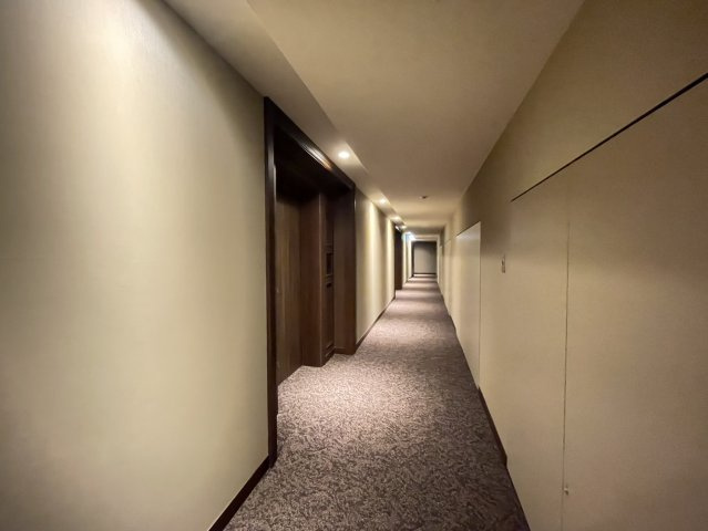 グラングリーン大阪THE NORTH RESIDENCEのその他共用部分