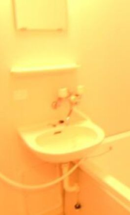 ヴィラージュ真間の洗面所