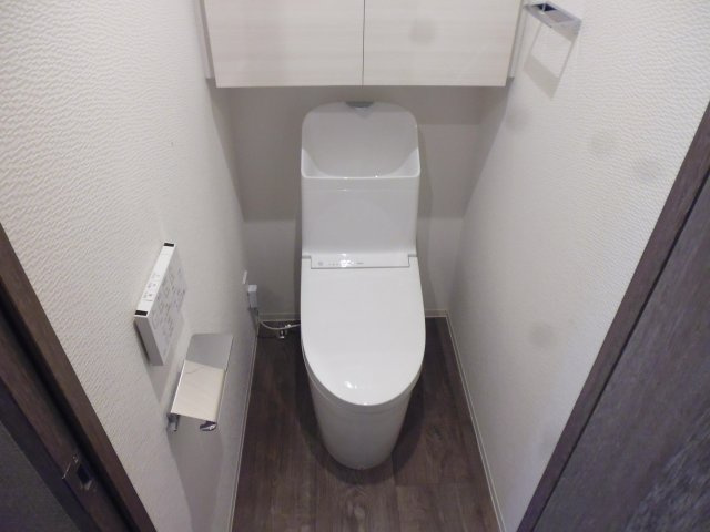 ミルーナヒルズD駒込のトイレ