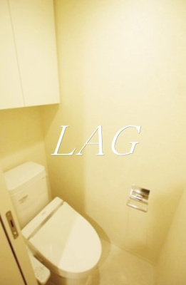 【トイレ】 | ブライズ多摩川DUE | トイレです。