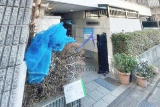 レヤーノ新宿のエントランス|エントランスです。