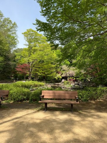 長尾住宅　4号棟のその他|県立 東高根森林公園
近くには広い素敵な公園があります。