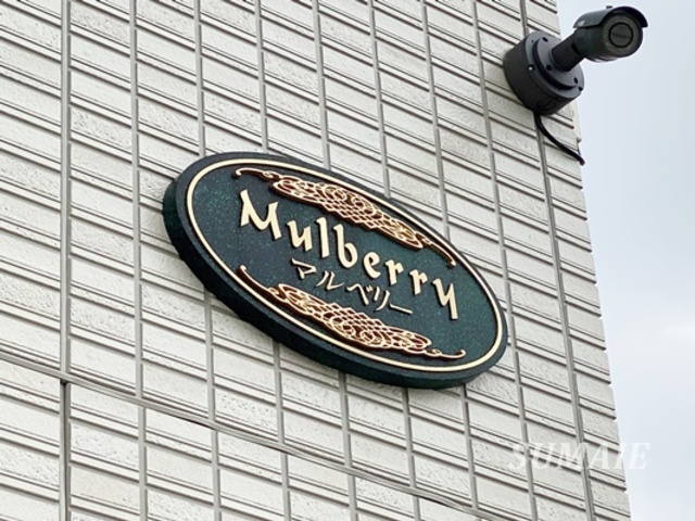 マルベリーの周辺|ランドマーク！