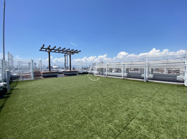 CITY SPIRE難波グレイス（旧グレイスポート難波）　塩草立葉小学校区の設備|CITY SPIRE難波グレイス　屋上ドッグラン