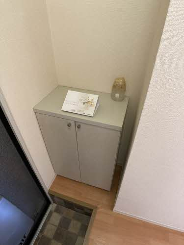 ウィステリア郷中Bの玄関