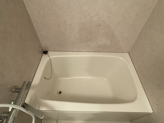 ヴィラ坂本の浴室