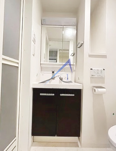 セレニティコート虎ノ門の洗面所|洗面台です。