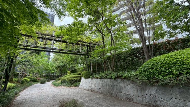 25階眺望良好！キャピタルマークタワー！一部リフォーム済み！の中庭|中庭への入り口部分です。春は桜も咲くので四季を感じることが出来ます。