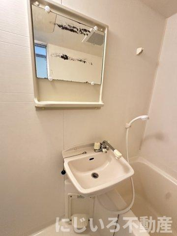 ヴィゴラス弐番館の洗面所