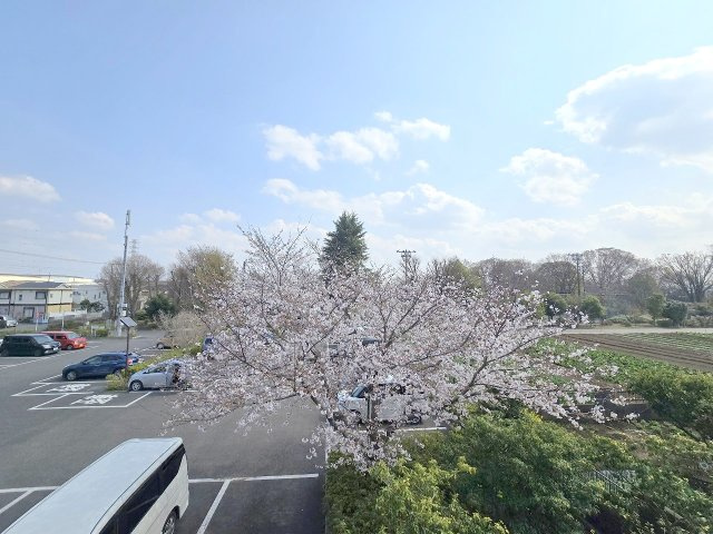 羽村市緑ヶ丘4丁目　新築戸建の展望