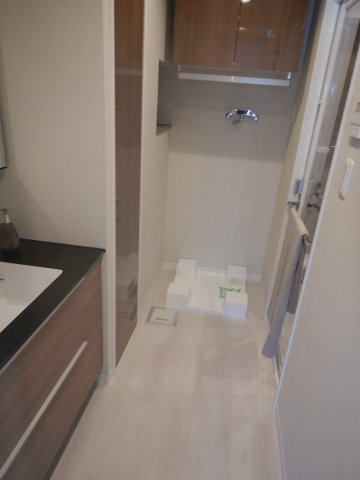 菱和パレス目白台グラーサの脱衣所