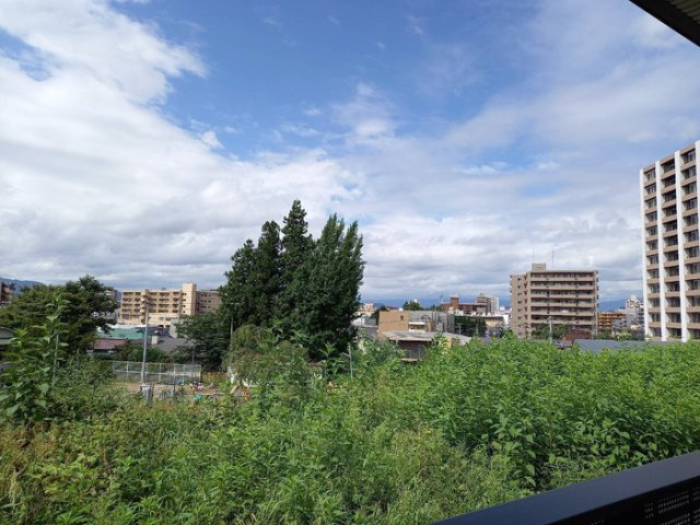 ハイカムール山王の展望