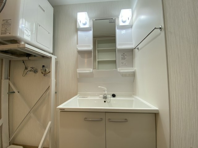 マンションエクセルハエバルの洗面所