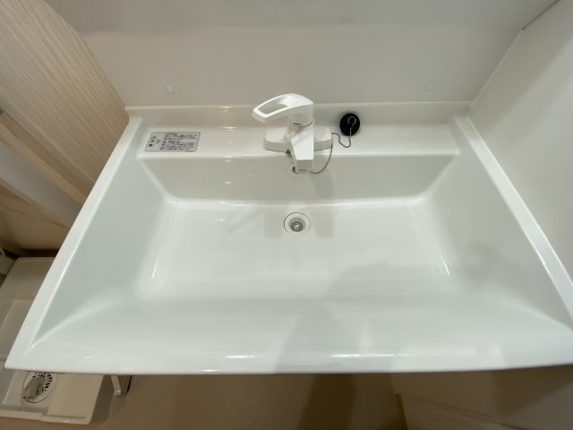 マンションエクセルハエバルの洗面所