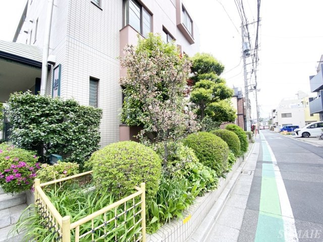 櫻のその他|植栽です☆