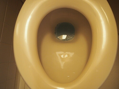 【トイレ】 | ライオンズプラザ本蓮沼 | トイレ　※前回募集時2020年2月の写真