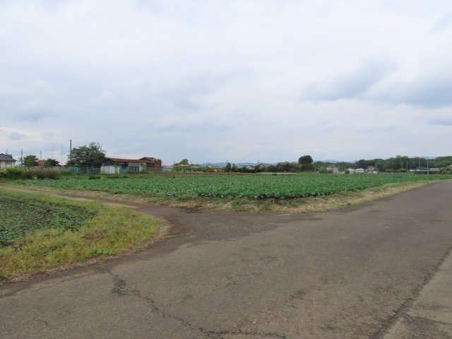 坂戸市成願寺売地の展望