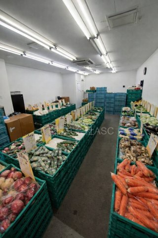 ハイマート千⿃橋 貸店舗の洋室