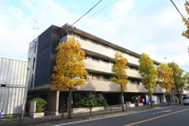 メゾンWAT【メゾンワット】の画像