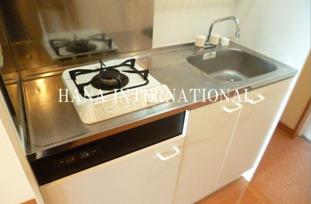 サンクチュアリ・アメージアのキッチン