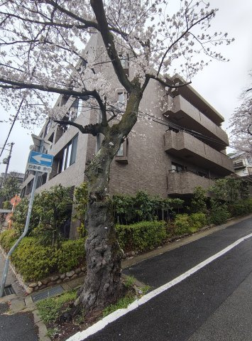 グランステイツ六甲・桜通