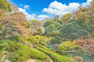 【周辺】 | 池田山公園まで450ｍ